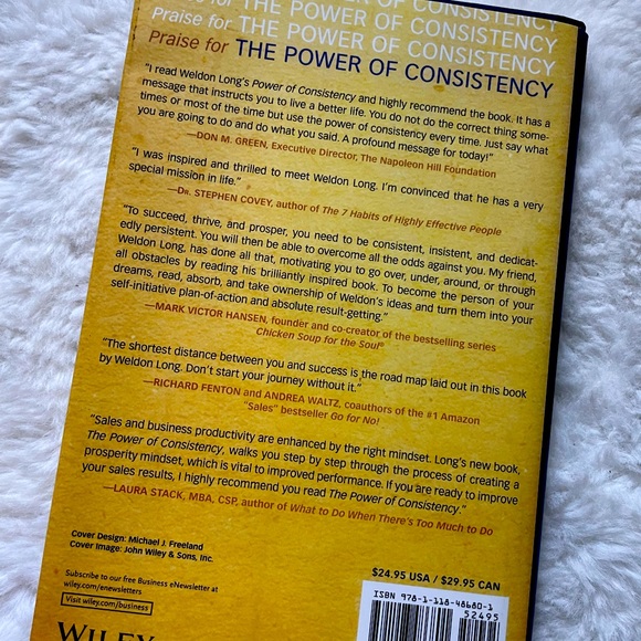 The Power of Consistency: Prosperity Mindset Training for Sales and Business - Picture 4 of 4